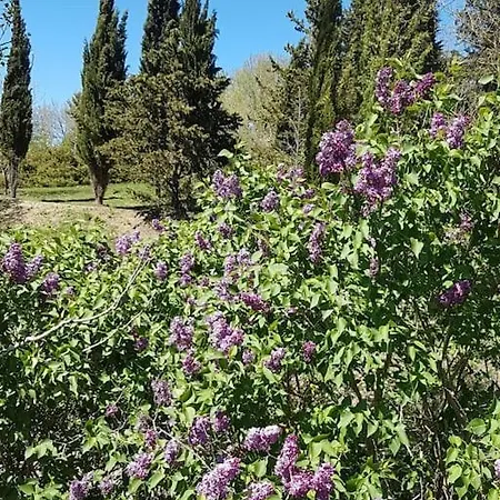 Charmant Mas Provencal Avec Piscine Proche Forcalquier