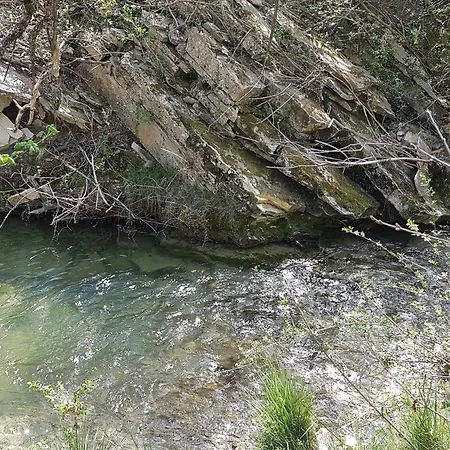 Charmant Mas Provencal Avec Piscine Proche Forcalquier * Limans