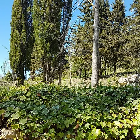 Charmant Mas Provencal Avec Piscine Proche Forcalquier * Limans