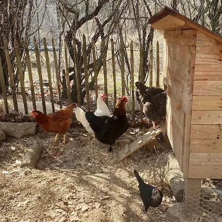 Charmant Mas Provencal Avec Piscine Proche Forcalquier * Limans